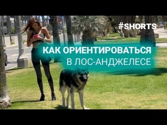 Лос-Анджелес: как ориентироваться в LA. #shorts