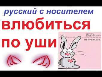 № 795 to fall head over heels / ВЛЮБИТЬСЯ ПО УШИ / афоризмы русского языка