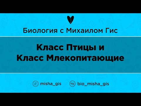 Класс Птицы и Класс Млекопитающие | ЕГЭ ОГЭ Биология с Михаилом Гис