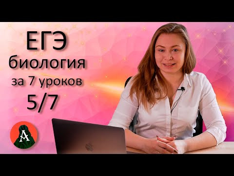 ЕГЭ биология за 7 уроков. 5/7 (Разнообразие живых организмов) ЕГЭ биология за 7 уроков. 5/7 (Разнообразие живых организмов)