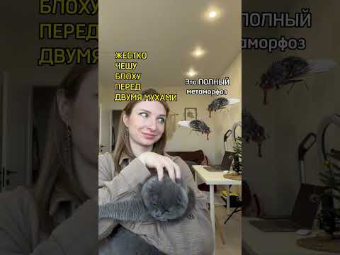 Запоминалка! Как запомнить какие отряды насекомых имеют полное превращение! #биология #егэ #егэ2024