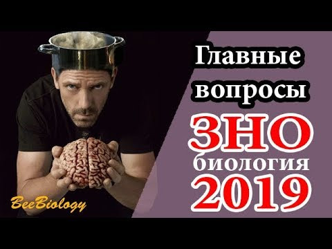 ЗНО 2019 биология САМЫЕ ЧАСТЫЕ ВОПРОСЫ