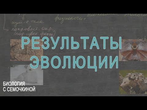 Результаты эволюции