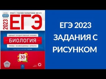 ЕГЭ Рохлов 2023 задания с рисунком!