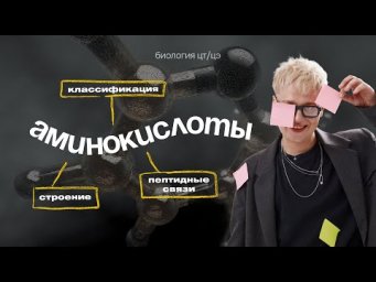Аминокислоты: строение, классификация, свойства | ЦТ, ЦЭ по Биологии | Ян Менделеев