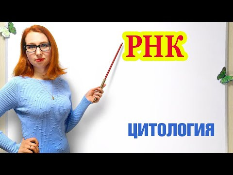 РНК РНК