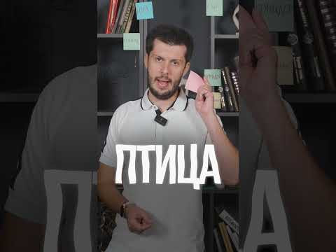 САМЫЙ ПРОСТОЙ ТЕСТ НА ИСПАНСКОМ: пройдешь ли ты? #УрокИспанского #ИспанскийЯзык