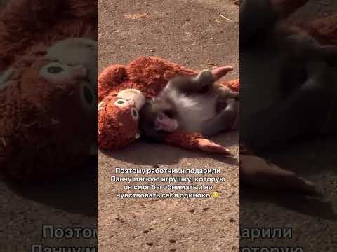 ❓Что чувствует ребёнок, когда его не принимают в классе? ❓Что чувствует ребёнок, когда его не принимают в классе?