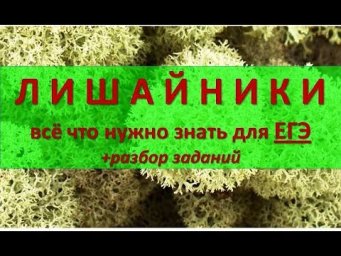 ЛИШАЙНИКИ (теория + задания)