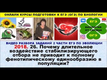 ЗАДАНИЕ ЛИНИИ 26. ПРО ОТСУТСТВИЕ ФЕНОТИПИЧЕСКОГО ЕДИНООБРАЗИЯ