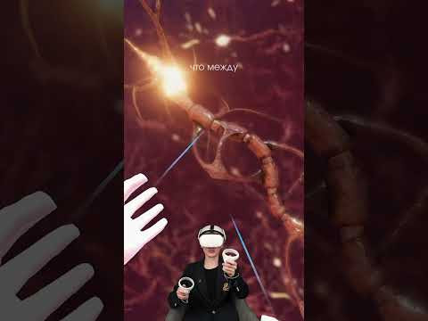 смотрим на оболочку нервов#биология #сотка #егэбиология