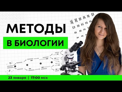 ВСЕ МЕТОДЫ В БИОЛОГИИ ЗДЕСЬ ВСЕ МЕТОДЫ В БИОЛОГИИ ЗДЕСЬ