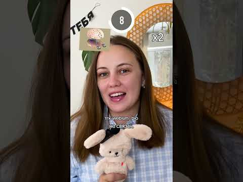три главные ошибки в ЕГЭ