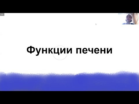 Функции печени Функции печени