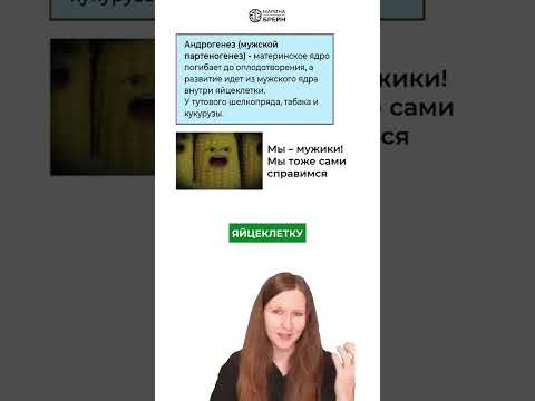 Папа справится сам тгк: Марина Брейн #егэ2027 #егэбиология Папа справится сам тгк: Марина Брейн #егэ2027 #егэбиология