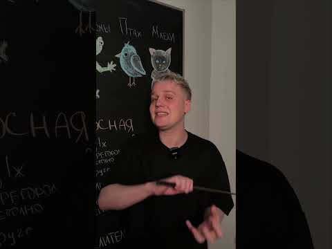 Сравнение хордовых | Биология с Яном