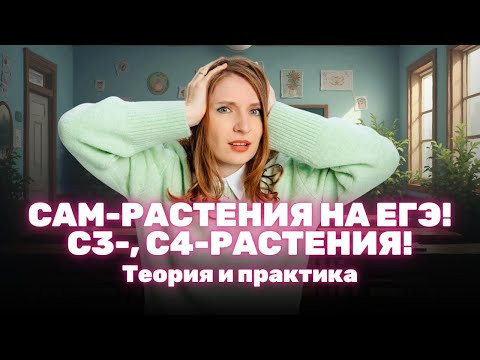 Фотосинтез растений: C3 vs C4 vs CAM &mdash; в чём разница?