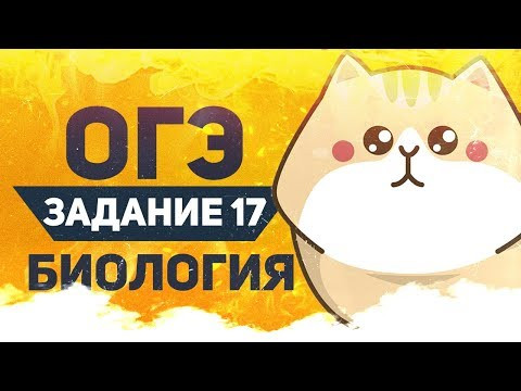ОГЭ Биология Разбор Задания 17 Рохлов 2019 ОГЭ Биология Разбор Задания 17 Рохлов 2019