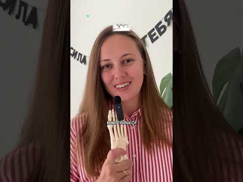 Забирай полезности у меня в тгк: webium_bio   #егэ #химбио #егэбиология #рекомендации #егэпобиологии