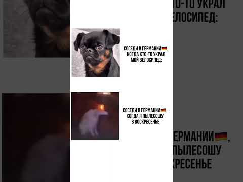 Почему в Германии нельзя пылесосить в воскресенье? Почему в Германии нельзя пылесосить в воскресенье?