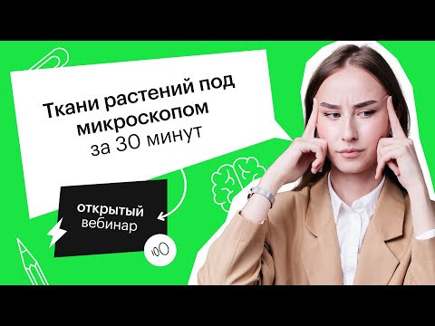 Ткани растений под микроскопом за 30 минут | ЕГЭ БИОЛОГИЯ 2022 | СОТКА
