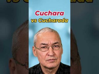 Испанский язык. "Кулинарные" тонкости: столовая ложка .. cuchara или cucharada? #испанскийязык