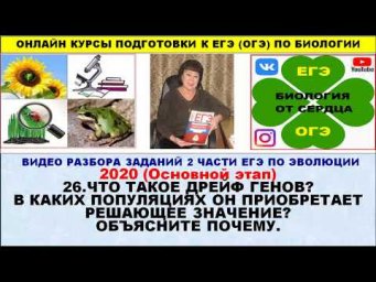 ДВА ЗАДАНИЯ ПРО ДРЕЙФ ГЕНОВ И ПОПУЛЯЦИОННЫЕ ВОЛНЫ