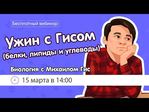 Белки, липиды и углеводы | ОГЭ и ЕГЭ БИОЛОГИЯ Белки, липиды и углеводы | ОГЭ и ЕГЭ БИОЛОГИЯ