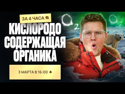 ВСЯ кислородсодержащая органика за 4 часа | Органика с НУЛЯ | Степенин и Дацук