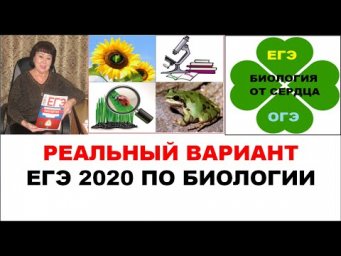 РЕАЛЬНЫЙ ВАРИАНТ КИМА ЕГЭ 2020 ПО БИОЛОГИИ