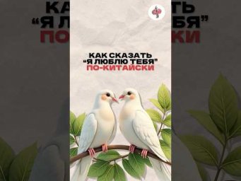 "Знаешь, что китайцы почти никогда не говорят &ldquo;я люблю тебя&rdquo;?