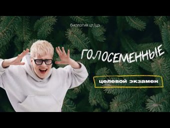 ГОЛОСЕМЕННЫЕ | Целевой экзамен