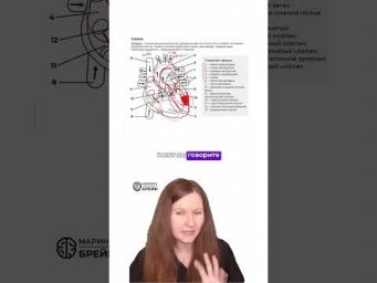 ЗАБИРАЙ БАЛЛ НА ЕГЭ ПО БИОЛОГИИ #биологияегэ #биология