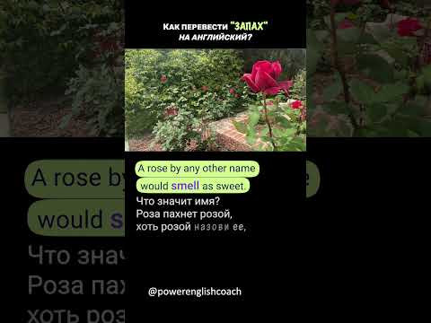 Как перевести "запах" на английский. #shorts