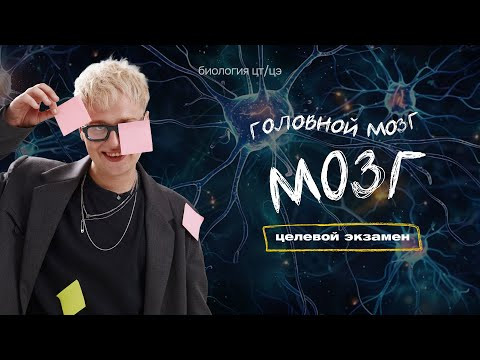 ГОЛОВНОЙ МОЗГ | Целевой экзамен ГОЛОВНОЙ МОЗГ | Целевой экзамен