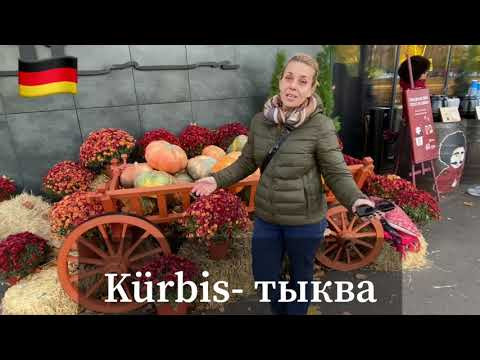 СИМВОЛ Helloween- K&uuml;rbis Хеллоуин- немецкие слова Фрау Анжелика