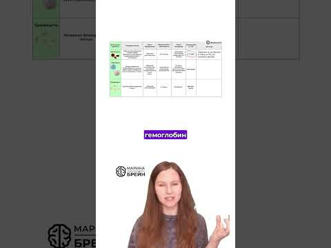 ГЕМОГЛОБИН НЕ БЕЛОК #биологияегэ #биология #анатомия ГЕМОГЛОБИН НЕ БЕЛОК #биологияегэ #биология #анатомия