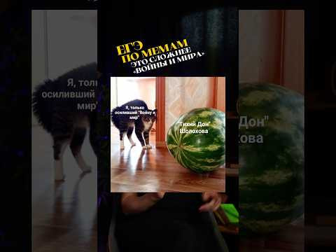 ЭТО ТЫ ЕЩЕ «КНРЖХ» НЕ ЧИТАЛ #сотка #литератураегэ #сочинение #егэлитература #подготовкакегэ ЭТО ТЫ ЕЩЕ «КНРЖХ» НЕ ЧИТАЛ #сотка #литератураегэ #сочинение #егэлитература #подготовкакегэ
