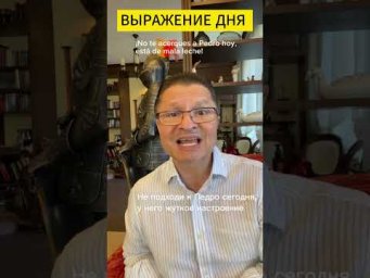 ВЫРАЖЕНИЕ ДНЯ ОТ УМБЕРТО!!!!