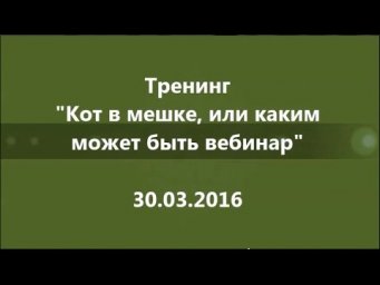 Тренинг "Кот в мешке, или каким может быть вебинар"