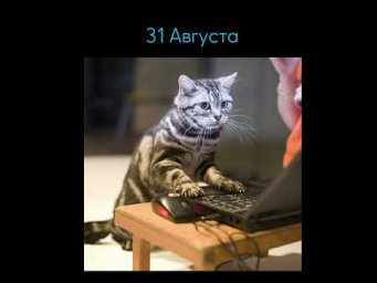 Подготовка к ЕГЭ по информатике