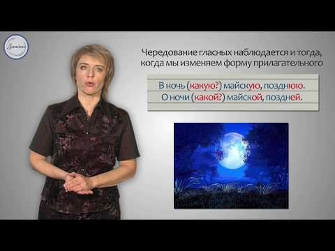 Уроки русского Правописание гласных Уроки русского Правописание гласных