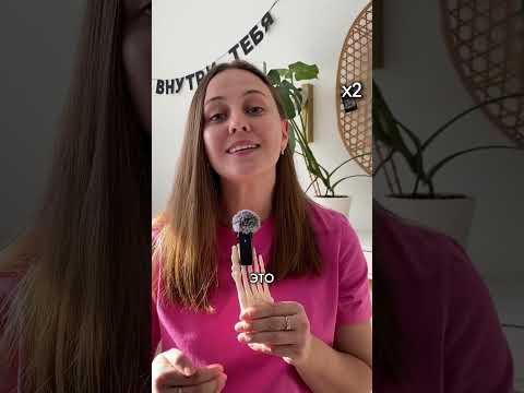 как распределить время на ЕГЭ по биологии? тгк: webium_bio #биология #биологияегэ #егэ2026 #химбио