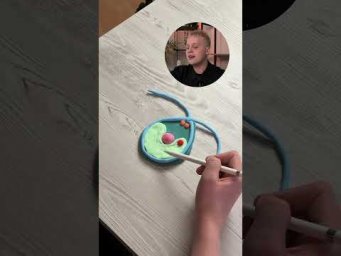 тгк: ХимБио с Яном Менделеевым