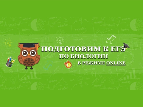 &laquo;ВСЁ О НЕОРГАНИЧЕСКИХ КОМПОНЕНТАХ КЛЕТКИ&raquo;  | ЕГЭ БИОЛОГИЯ 2020 | Онлайн-школа СОТКА