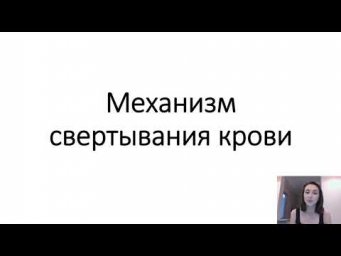 Механизм свертывания крови