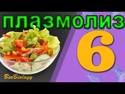 Плазмолиз, деплазмолиз, гемолиз - процесс осмоса