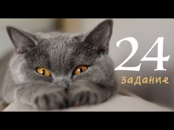 24 задание ЕГЭ по русскому языку 2019