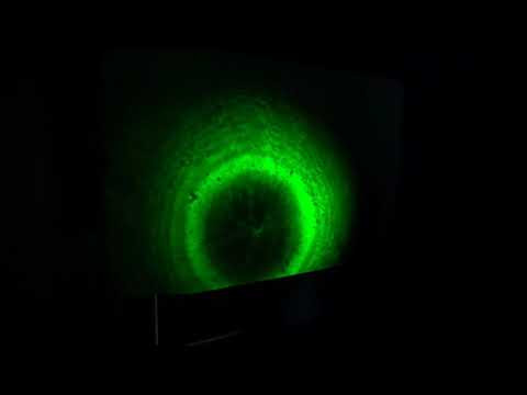 Krylov 2019 Optics 25