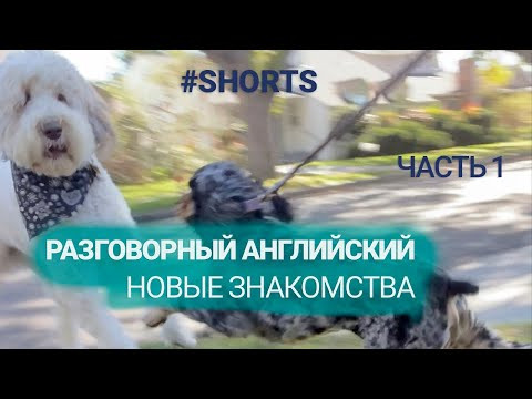 Новые знакомства. Разговорный английский. Часть 1. #shorts